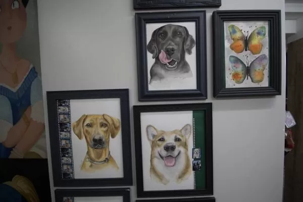 Quadro com pintura